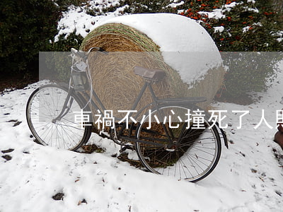車禍不小心撞死了人賠多少錢？